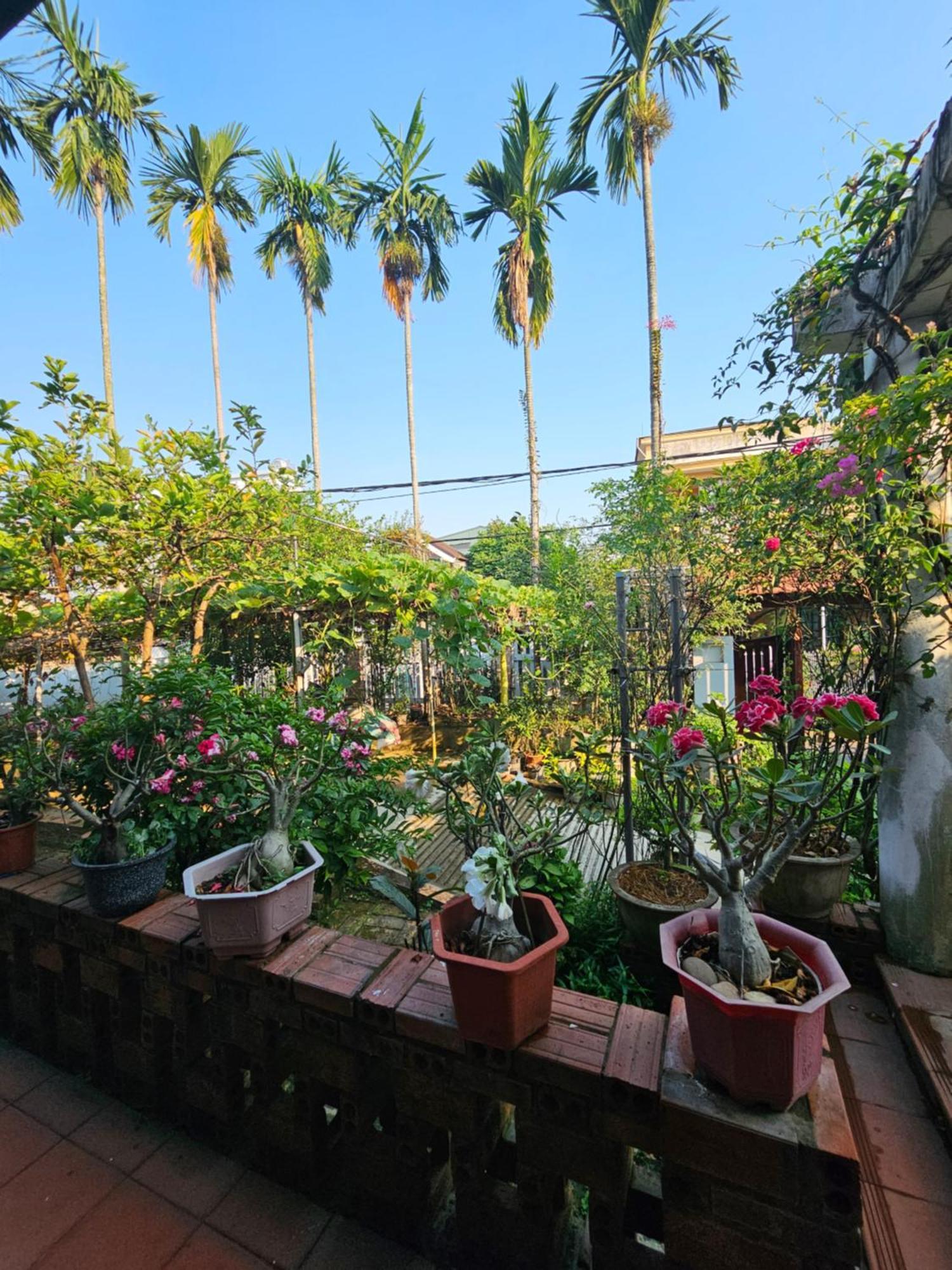 Rose Homestay Hue Thon Kim Long Bagian luar foto